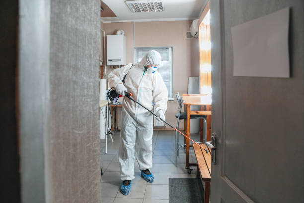 Best Mold Odor Removal Services  in Aspinwall, PA